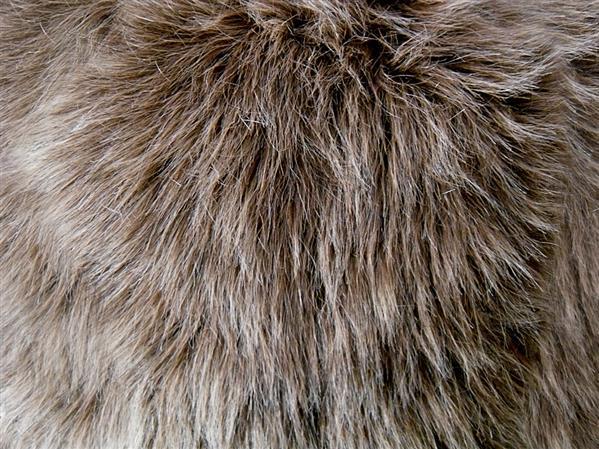 Shag Faux Fur Texture