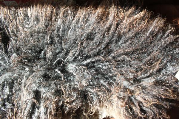 Sheep Fur Texture Free Stock