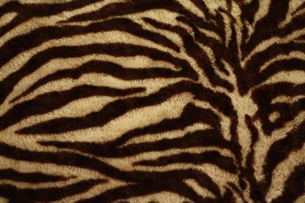 Zebra texture Background