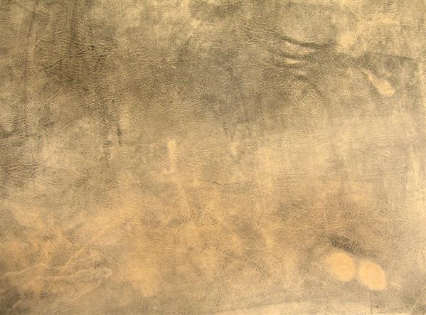 Dusty Old Grunge Leather Skin Background