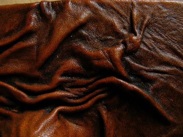 Wrinkled Rough Leather Texture