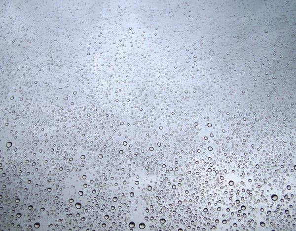 Rain water bubbles Texture