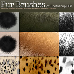 <span class='searchHighlight'>Fur</span> and Animal Hair Brushes for Photoshop psd-dude.com Resources