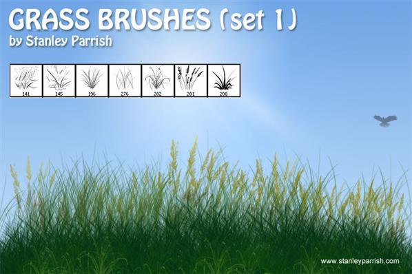 Grass Brushes for Creating Grass Borders in Photoshop