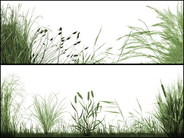 Photoshop Grass Border Brush Creator