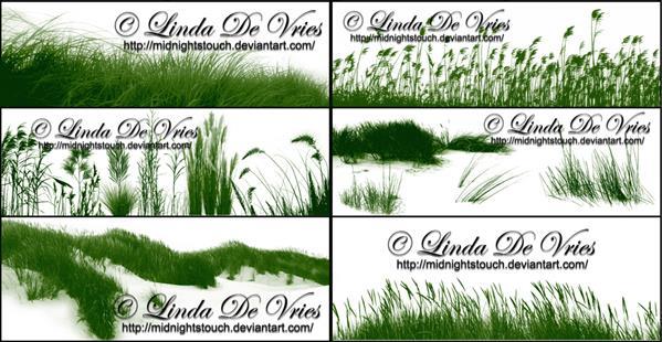 The Grassland Photoshop Brush Set