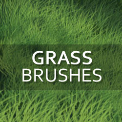 Grass and Foliage Photoshop Brushes psd-dude.com Resources