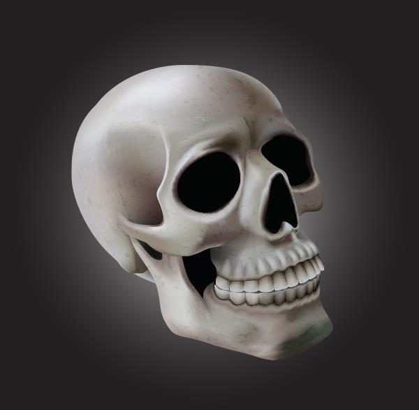 Create a skull with adobe illustrator