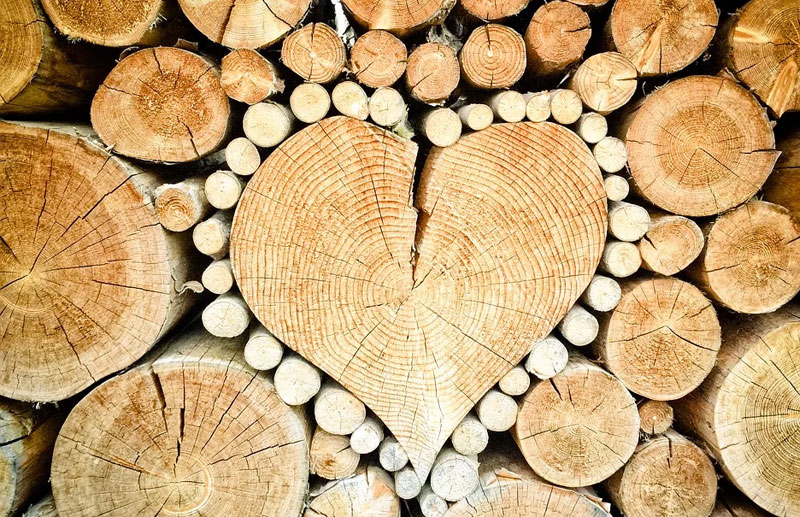 Nature Background Heart Shape