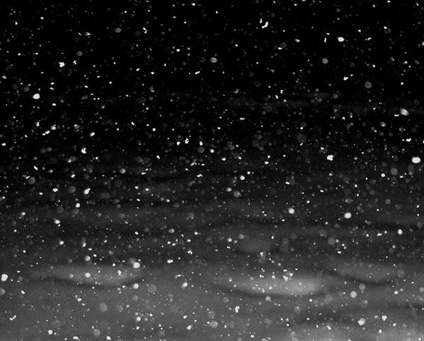 Free
 snowflakes falling at Night texture for layers Creative
 Commons by pinksherbet photoshop resource collected by psd-dude.com from flickr