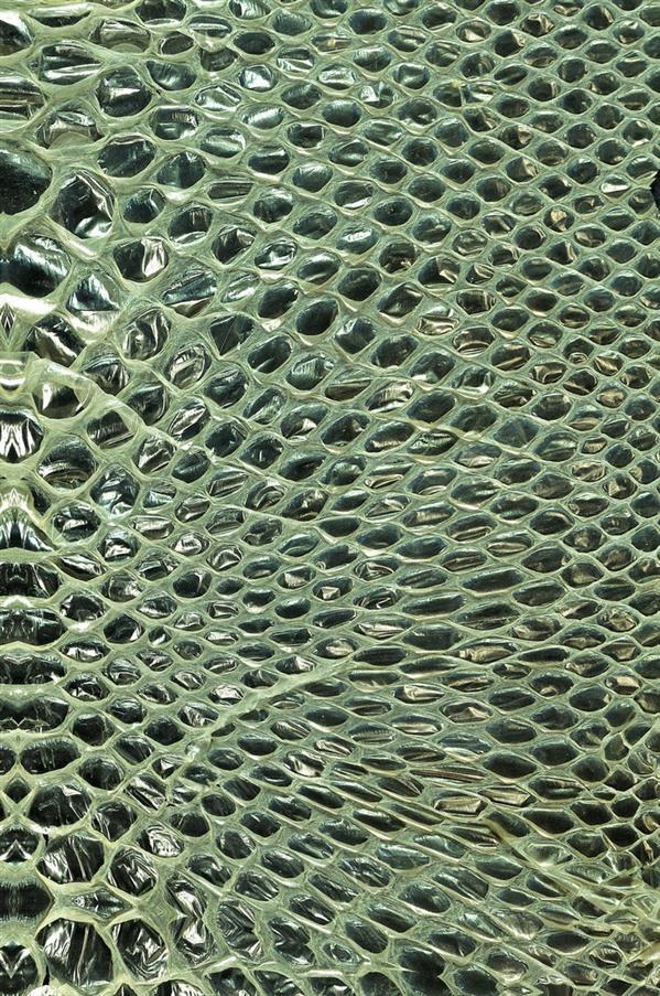 Cobra Snake Skin Texture