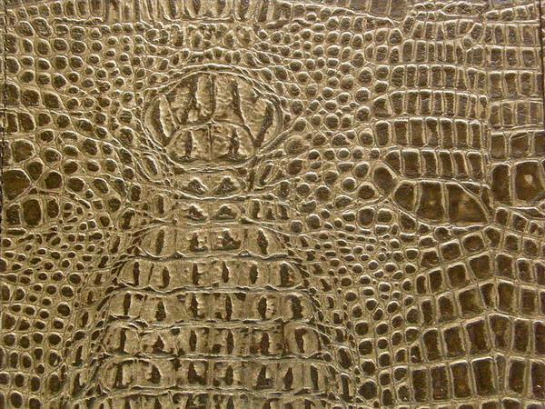 Crocodile Reptile Skin Leather Texture