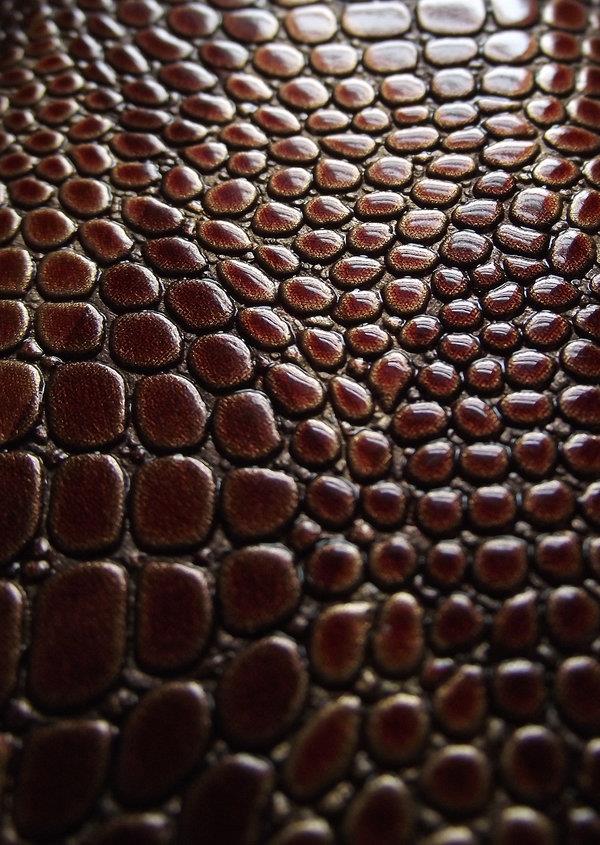 Snake Skin Texture by Becs-Stock photoshop resource collected by psd-dude.com from deviantart