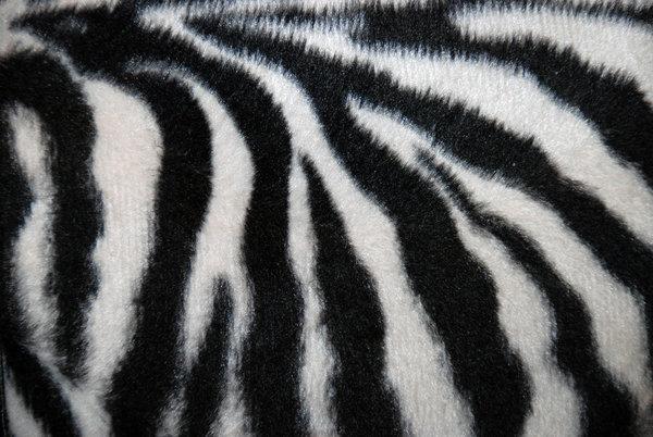 Zebra Black and White Fur