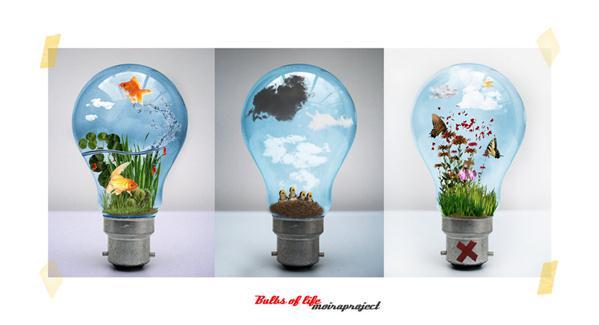 3 Light Bulb Creative Ideas