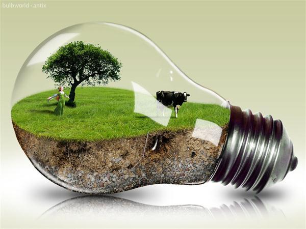 Bulb World Photo Manipulation