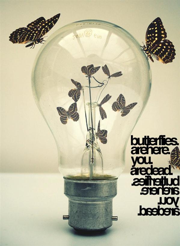 Butterfly Invasion inside a Light Bulb Manipulation