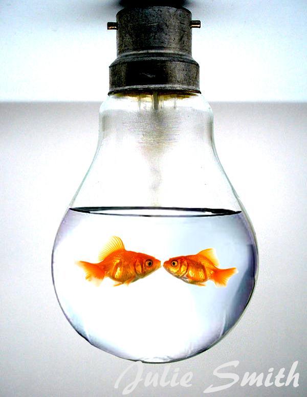 Fishes inside a Light Bulb Surreal Photo Manipulation