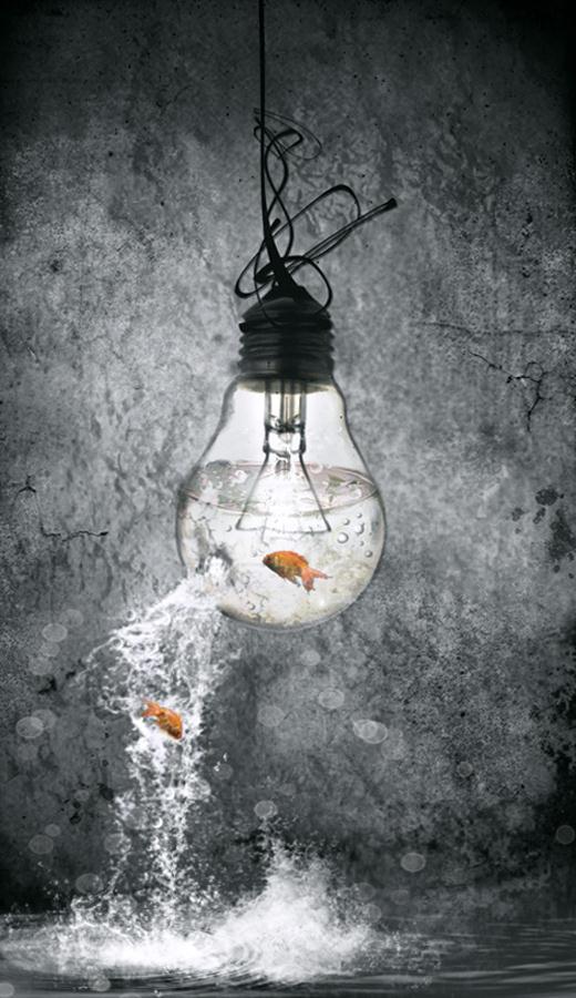 Light Bulb Aquarium Photo Manipulation
