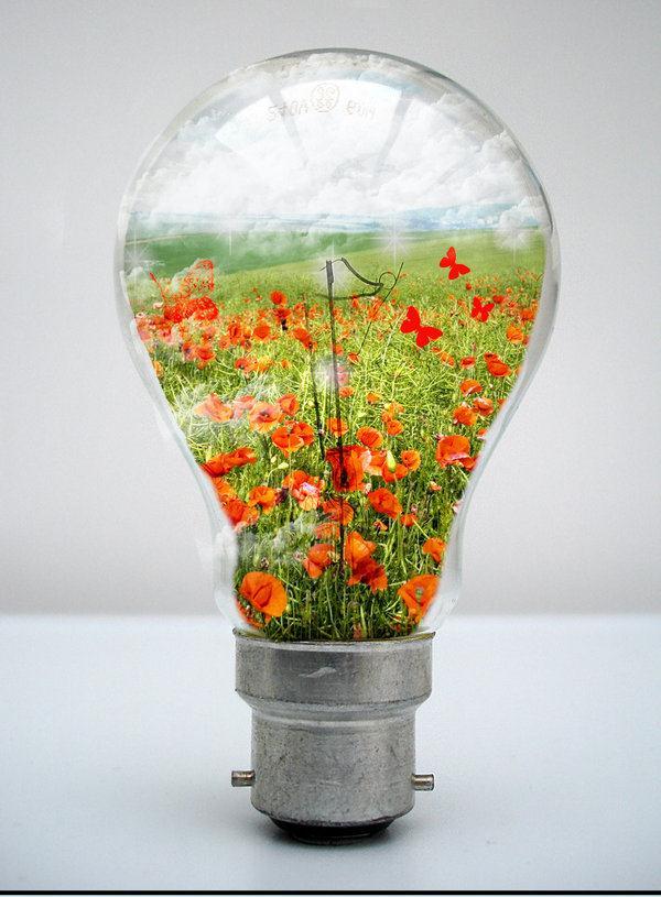 My world in a Light Bulb Photo Manipulation