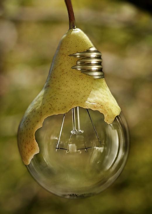 Pear Light Bulb Morphing Photoshop Artwork