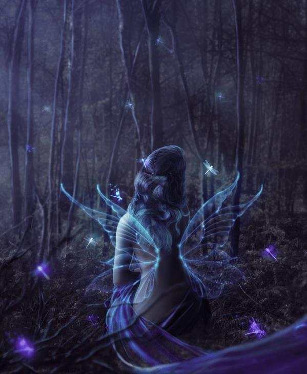 Create night fairy in the woods Photoshop tutorial
