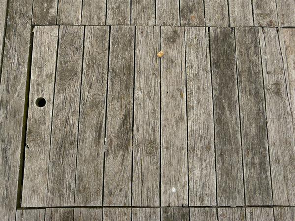 Wood Flooring Texture