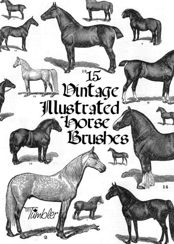 Vintage
Horses Brushpack by TinyTumbler photoshop resource collected by psd-dude.com from deviantart
