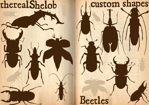 custom
shapes Beetles I by therealShelob photoshop resource collected by psd-dude.com from deviantart