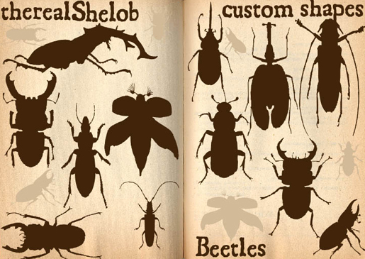 custom
shapes Beetles I by therealShelob photoshop resource collected by psd-dude.com from deviantart