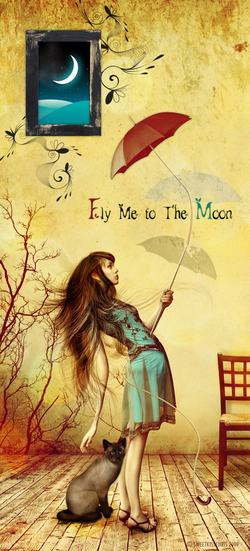 Fly
Me To The Moon by ripatapir photoshop resource collected by psd-dude.com from deviantart