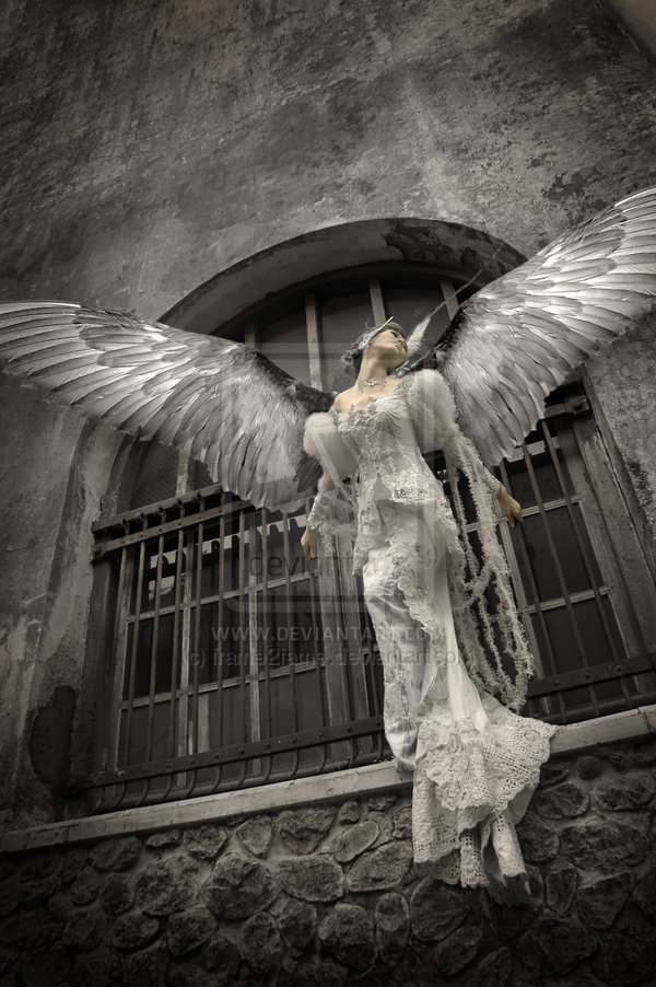 angel 'la celeste
by frame2fame photoshop resource collected by psd-dude.com from deviantart