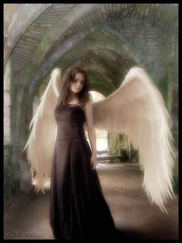 Wandering
Angel by Kencho photoshop resource collected by psd-dude.com from deviantart