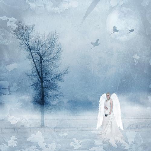 Winters Dream by brenda-starr photoshop resource collected by psd-dude.com from flickr