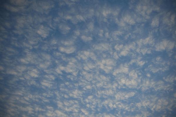 Cloud
 Texture