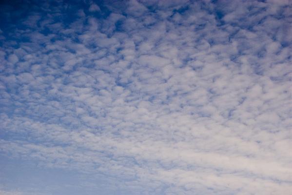 Sheep Clouds
 Texture Sky