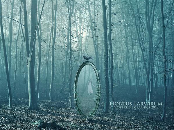 Forest Ghost Mirror Manipulation