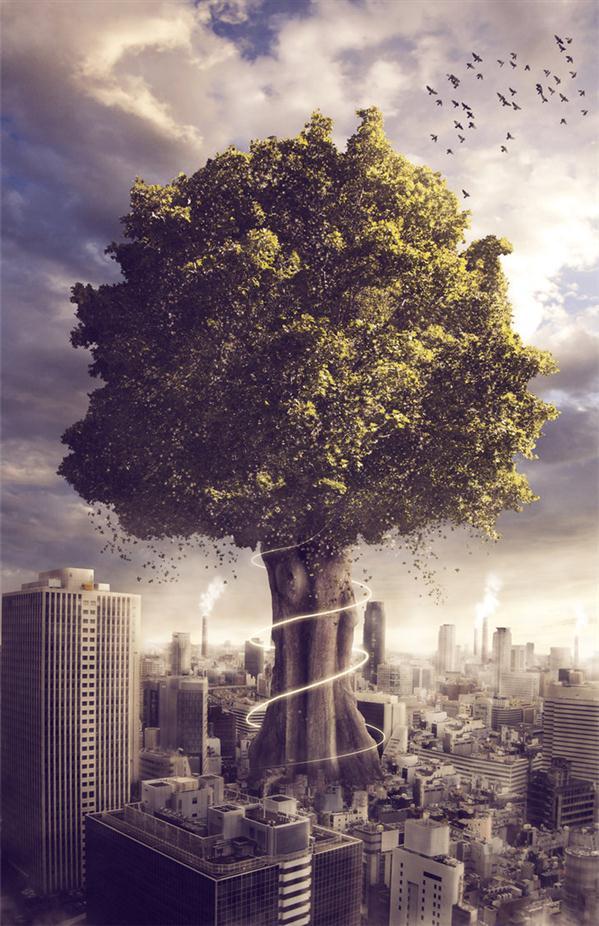 The Last Tree Photo Manipulation