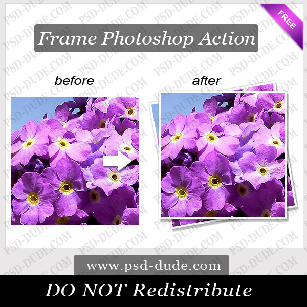 Photoshop Frame Action by PsdDude photoshop resource made by psd-dude.com
