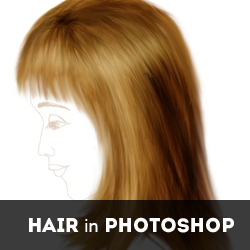 Smudge Tool Tutorials for Hair Manipulation in Photoshop psd-dude.com Resources