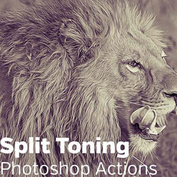 Split Tone Effect Photoshop Free Action psd-dude.com Resources