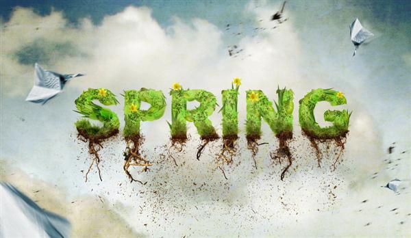 Spring Time Typography