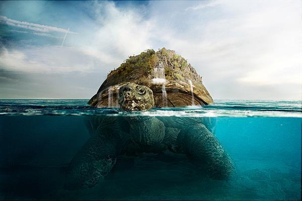 Photoshop tutorial submersed water turtle