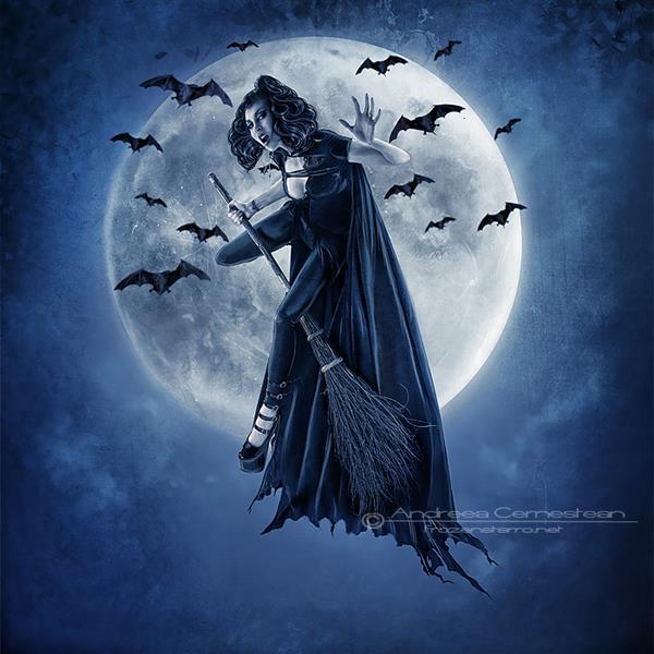 Creatures of the night Photo Manipulation