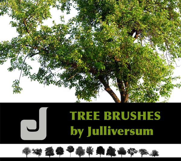 HIGH
 RES Tree Brushes by Julliversum photoshop resource collected by psd-dude.com from deviantart