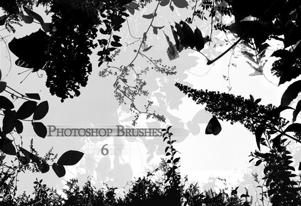 photoshop
 brushes 6 by greenday862 photoshop resource collected by psd-dude.com from deviantart