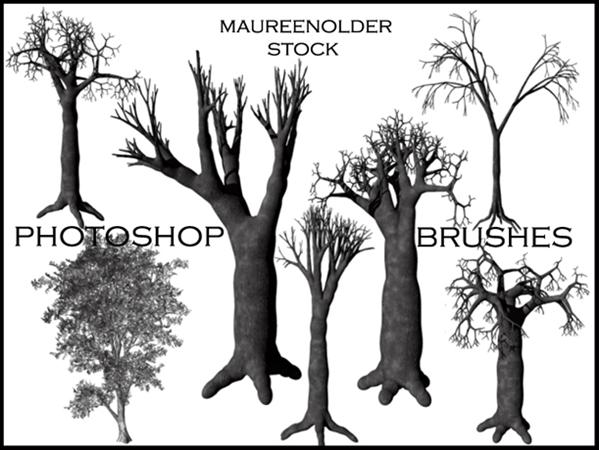 STOCK
 PHOTOSHOP BRUSHES tree by MaureenOlder photoshop resource collected by psd-dude.com from deviantart