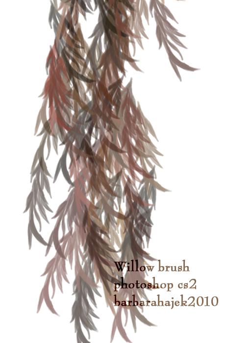 Willow
 Brush by hajek-barbara photoshop resource collected by psd-dude.com from deviantart