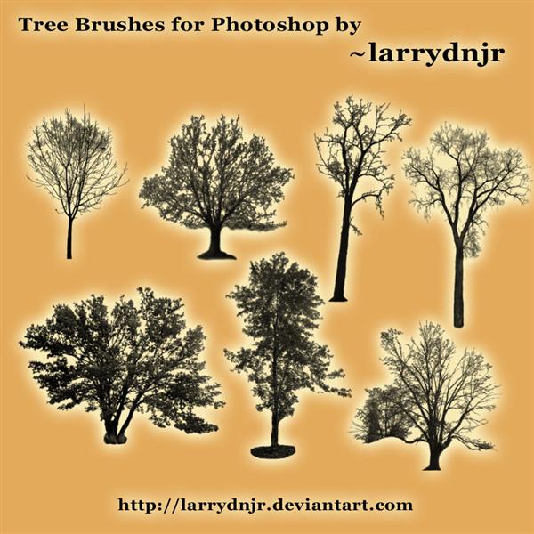 ~larrydnjr
 Tree Brush Set by LarryDNJR photoshop resource collected by psd-dude.com from deviantart