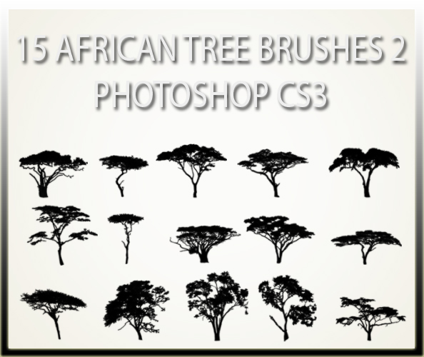 15
 African Tree Brushes 2 CS3 by charfade photoshop resource collected by psd-dude.com from deviantart